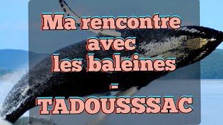 22 Tadoussac  Ma rencontre avec les baleines [upl. by Adien]