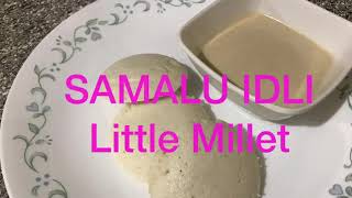 SAMALULittle Millet  Idli Recipe in TeluguMillet Idli How to make millet idli [upl. by Survance60]