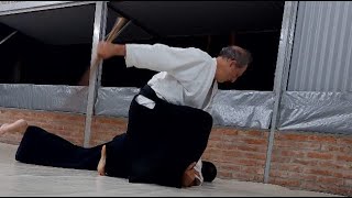 Examen Sandan Jorge Alcides Buffa 3º Dan Aikido  Octubre 2024 [upl. by Kin406]