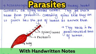 Parasites  Types with examples  Ecto amp Endoparasites  Readymade notes for exam  Zoology lecture [upl. by Barbur]