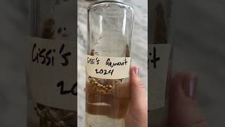 Homemade Aquavit  simple easy fun [upl. by Krasner4]