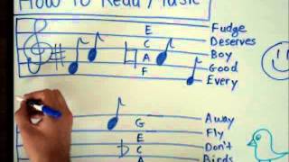 How to Read Music  Basics for Beginners  Music Theory Lesson [upl. by Cirderf16]