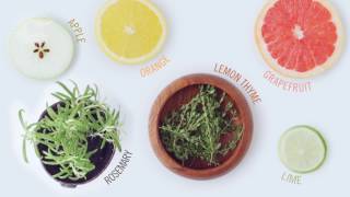 How to make the perfect citrus and herbaceous gin and tonic [upl. by Anirpas]