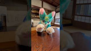 かりかり furry fursuiteveryday fallog [upl. by Marlo198]