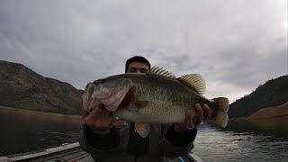 Throwing a Huddleston swimbait on Lake McClure [upl. by Maximilian331]