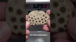 Polishing a Petoskey Stone FOSSIL [upl. by Ahsircal]