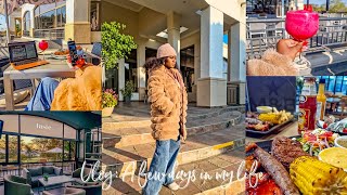 vlog  Clicks Haul  Woolies Grocery Haul  South African Youtuber [upl. by Gussy]