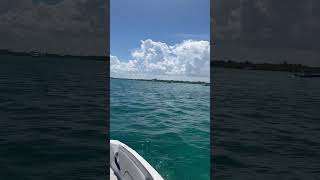 Halouver sandbar miamibeachlife saltlife florida oyeseguro [upl. by Bandur]