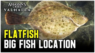 Assassins Creed Valhalla  Big Flatfish Location [upl. by Latoniah]