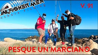 Pesque un MARCIANO La Paz BCS kingfishermex inshorefishing [upl. by Malinowski875]