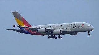 Asiana Airlines A380841  Landing Frankfurt Airport  HL7641 [upl. by Alliuqal]