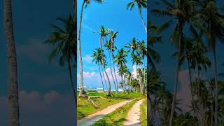 Daorong Seaside Road  Danao Panglao Bohol chillride beautifulscenery boholtravel beach nature [upl. by Adnilym]