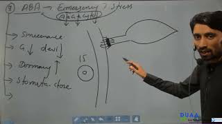 Forms and Functions of Plants lecture 8 Plant Hormones and Movement [upl. by Atoked]