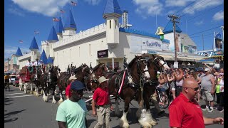 Budweiser Clydesdales Follow the Hitch Seaside Heights [upl. by Capwell]