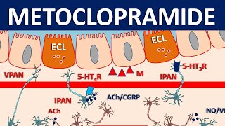 Metoclopramide Reglan  Mechanism precautions side effects amp uses [upl. by Markowitz]