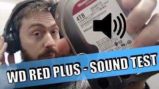 WD Red Plus HDD Noise Level Test [upl. by Grindle]