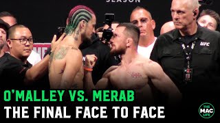 Sean O’Malley vs Merab Dvalishvili Final Face To Face [upl. by Nylessoj]