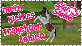 Star Stable【SSO】 Trakehner Fohlen quotMon Chériquot lernt Kunststücke ♥ 2 [upl. by Oicram]