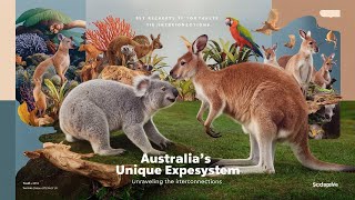 Australias Unique Ecosystem  Unraveling the Interconnections [upl. by Huoh]