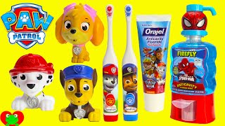 Paw Patrol Brush Teeth Surprises Shopkins Season 6 [upl. by Gaidano]