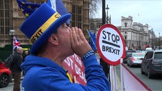 Rain or shine Mr Stop Brexit delivers his message [upl. by Jurgen914]