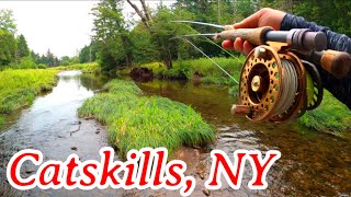 The Hunt For A Record BROOK TROUT  Catskill Mtns NY [upl. by Coheman305]