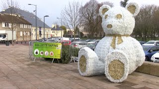 Yvelines  Le broyage de sapins  un geste écologique [upl. by Aina]