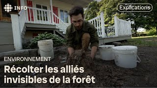 La recette de l’agriculture naturelle coréenne  La semaine verte [upl. by Enela]