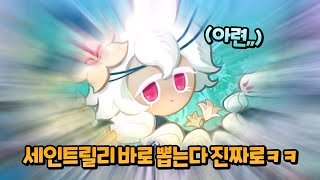 야임마 당장 3주년 업데이트 하란 말이야 당장🔥ㅣ【쿠키런 킹덤】 [upl. by Losse]