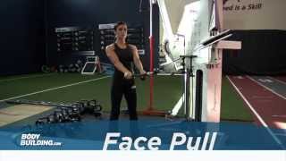 Face Pull  Shoulder Exercise  Bodybuildingcom [upl. by Yelsna981]