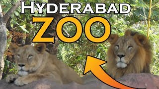 Nehru Zoological Park Hyderabad Zoo India in 4k ultra HD [upl. by Adnamas]