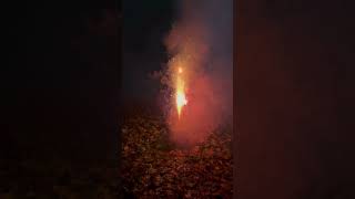 Rote Begonien Fontane von Comet🔥 comet feuerwerk fontaine silvester fireworks vorfreude [upl. by Bartko899]