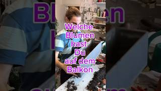 Wie bepflanzt du deinen Balkonkasten dekor floristik balkon [upl. by Aeslek]