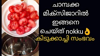 ചാമ്പക്ക കൊണ്ടുള്ള ഈ സംഭവം കണ്ടു നോക്കു വെറുതയാവില്ല ഉറപ്പ്chaambakka recipejam recipe Malayalam [upl. by Fisoi]