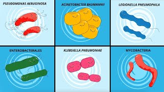 Infection prevention amp Hygiene Opportunistic bacterial pathogens [upl. by Neysa]