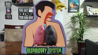 Como hacer maqueta del sistema respiratorio  maqueta de pulmones caseros [upl. by Beatrisa860]