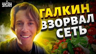 Это хит Галкин взорвал сеть новым видео Пугачева довела россиян до истерики [upl. by Ticon]