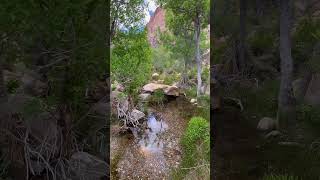 redrock National Conservation Area  Oak Creek Trail  Nevada [upl. by Gayle]