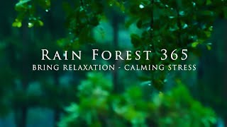 10 Hours of Relaxation with Rainforest Sounds Stress Relief Deep Sleep Meditation Yoga Spa [upl. by Cardwell]