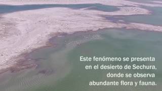 Laguna La Niña  Fenómeno del Niño Costero  Perú 2017 [upl. by Anik]