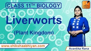 Liverworts  Plant Kingdom  CBSE Class 11 Biology [upl. by Alodie]