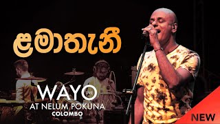 WAYO Live  Lamathani ළමාතැනී [upl. by Brahear]