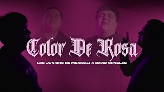 Los Juniors de Mexicali David Ornelas  Color de Rosa Video Oficial [upl. by Savadove]