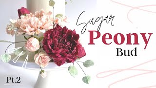 Sugar Peony Flower Tutorial  Making a Peony Bud Pt2  Finespun Cakes [upl. by Braeunig]