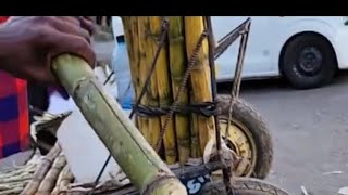 Street Hustle Live Selling Fresh Juicy Sugarcane in Kenya [upl. by Hploda]