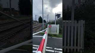 Watlington Road Level crossing Norfolk NEW LEDs [upl. by Yzzik]