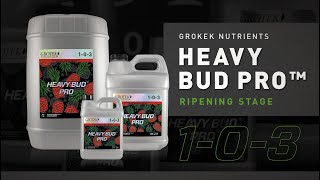 Grotek Nutrients  Heavy Bud Pro™ [upl. by Vinia991]