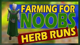 OSRS How To Start Doing Herb Runs  Farming For Noobs [upl. by Gregg]