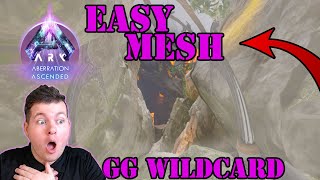 Easiest Way to Mesh Aberration  Time To Make a Mesh Base  Wildcard Fix Your Game [upl. by Sanjay]