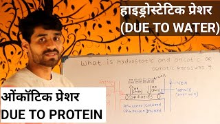 WHAT IS HYDROSTATIC AND ONCOTIC OR OSMOTIC PRESSURE इन हिंदी [upl. by Raynor]